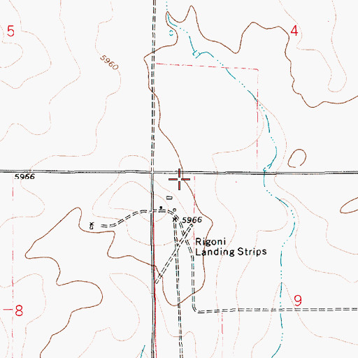 Topographic Map of Rigoni Landing Strips, NM