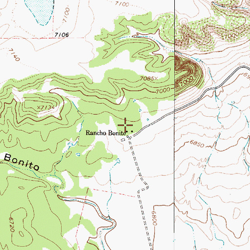 Topographic Map of Pelt, NM