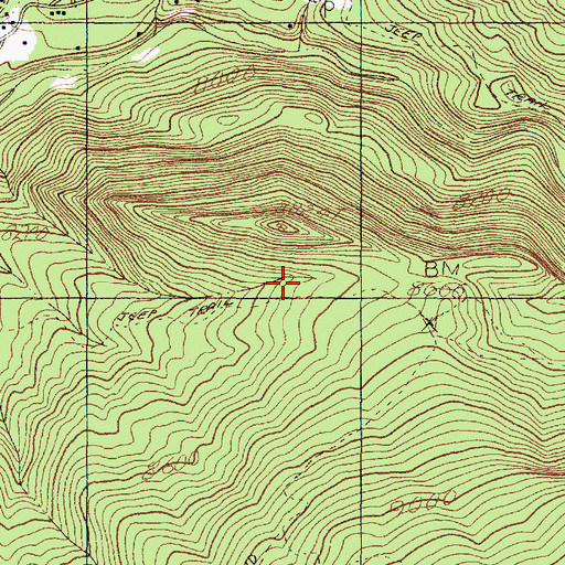 Topographic Map of Corkins Lodge, NM