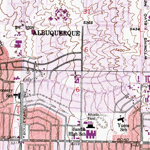 Topographic Map of Comanche Elementary School, NM