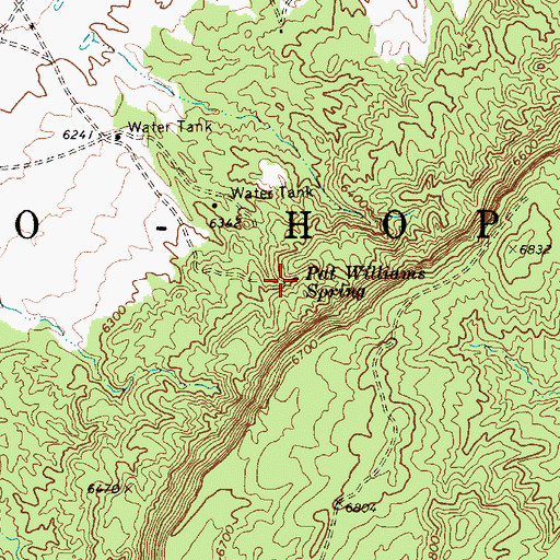 Topographic Map of Pat Williams Spring, AZ