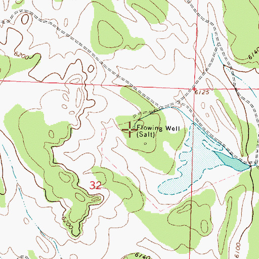 Topographic Map of Flowing Water Well, NM