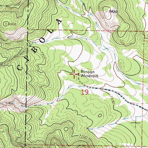 Topographic Map of Rincon Windmill Water Well, NM