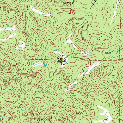 Topographic Map of New Well, NM