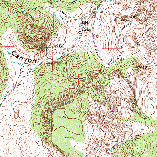 Topographic Map of RG 26558 Water Well, NM