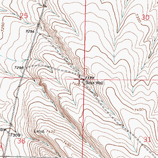 Topographic Map of Gose Well, NM