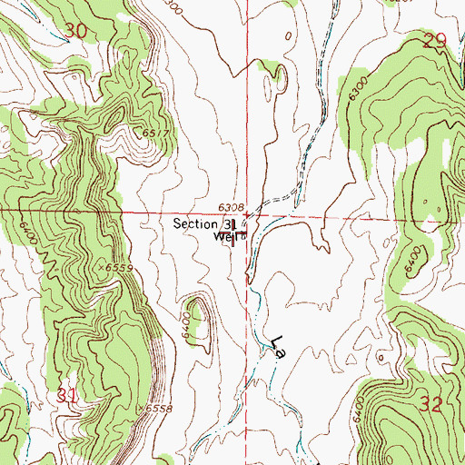 Topographic Map of Section 31 Water Well, NM