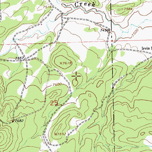 Topographic Map of 10006 Water Well, NM