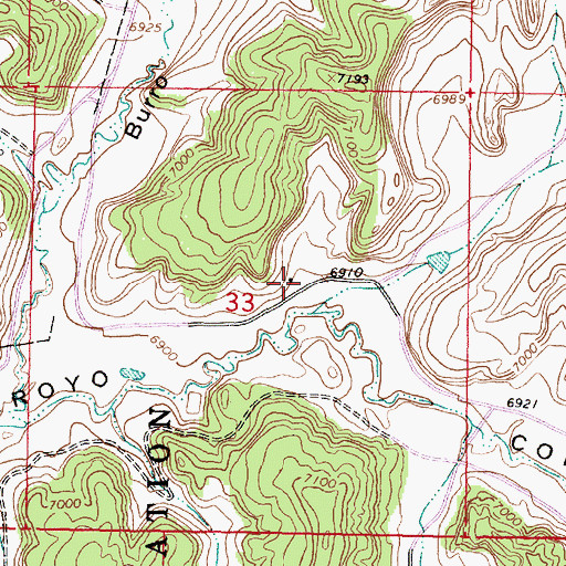 Topographic Map of Theodor Serafin Water Well, NM