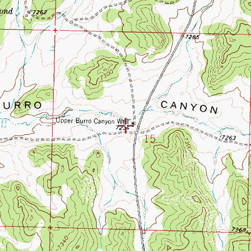 Topographic Map of Bia 16 Water Well, NM