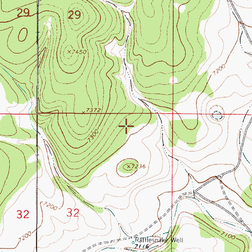 Topographic Map of Snake Water Well, NM