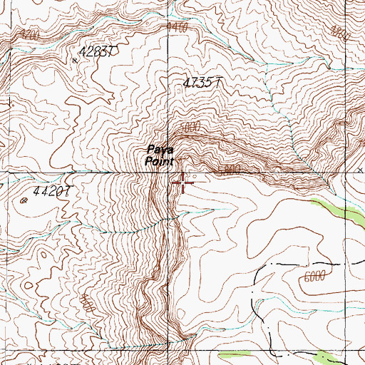 Topographic Map of Paya Point, AZ