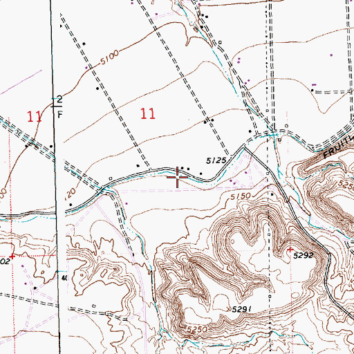 Topographic Map of Fruitland Irrigation Canal, NM