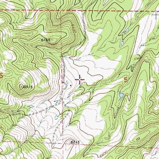 Topographic Map of Brannon, NM