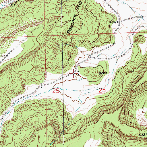 Topographic Map of Bechtel, NM