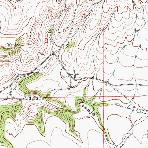 Topographic Map of Cowan, NM