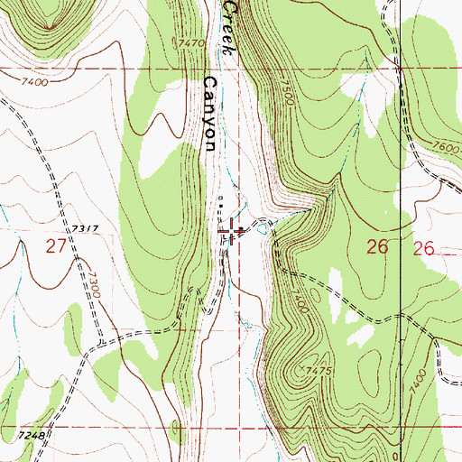 Topographic Map of Mares, NM