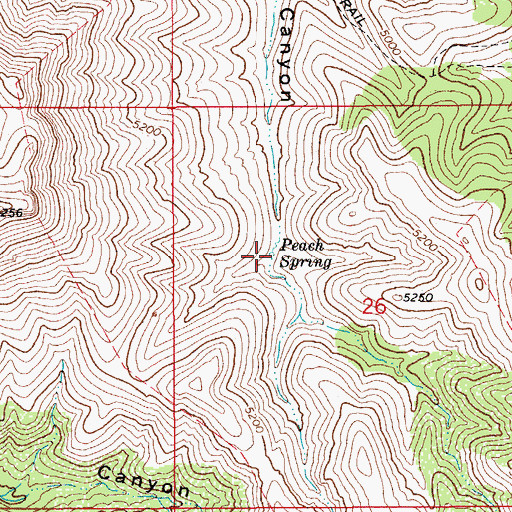 Topographic Map of Peach Spring, AZ