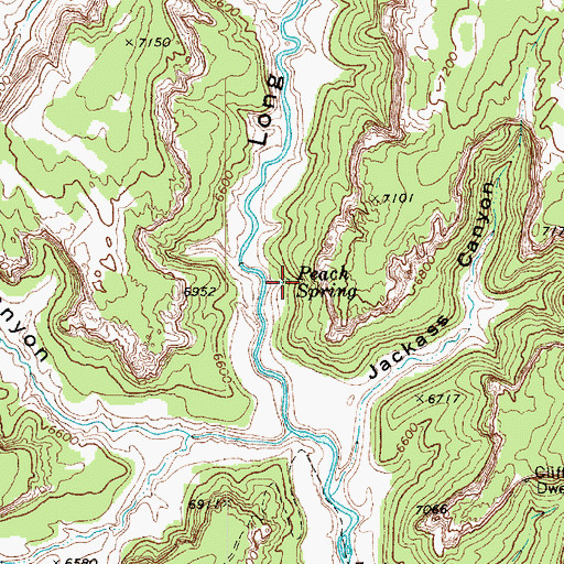 Topographic Map of Peach Spring, AZ