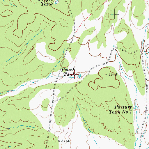 Topographic Map of Peach Tank, AZ