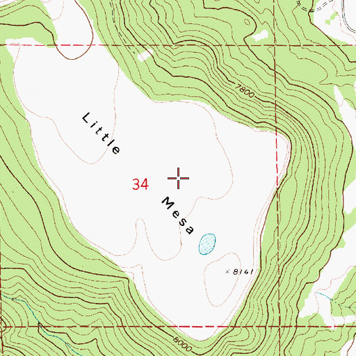 Topographic Map of Horse Shoe Mesa, NM