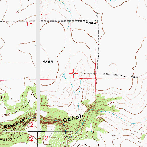 Topographic Map of Case Ranch, NM