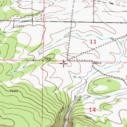 Topographic Map of Peacock, NM