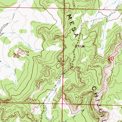 Topographic Map of Mesa Chijuilla, NM
