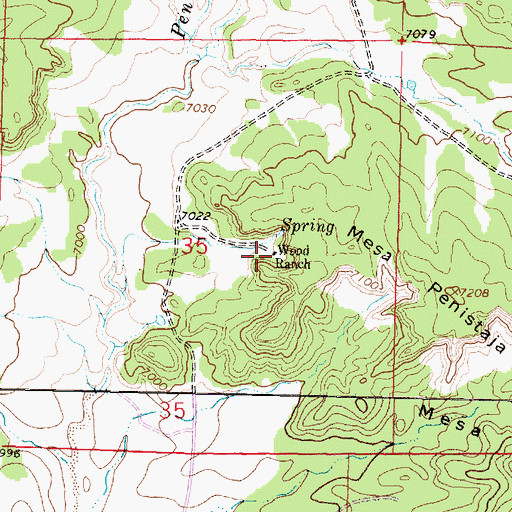Topographic Map of Wood, NM