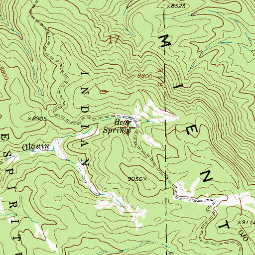 Topographic Map of Bear Springs, NM