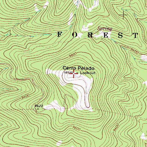 Topographic Map of Cerro Pelado, NM