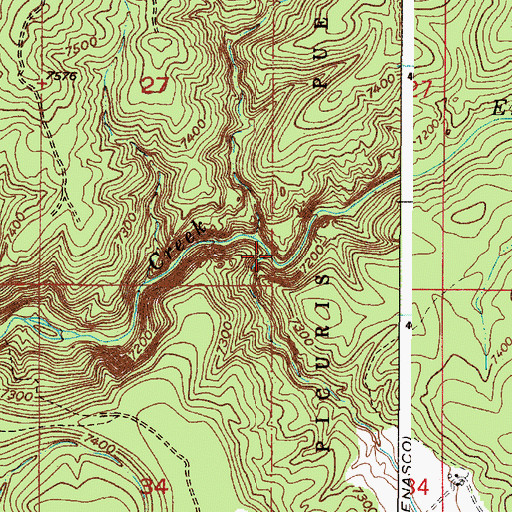 Topographic Map of Chamizal Creek, NM