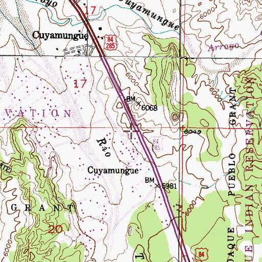 Topographic Map of Cuyamungue, NM