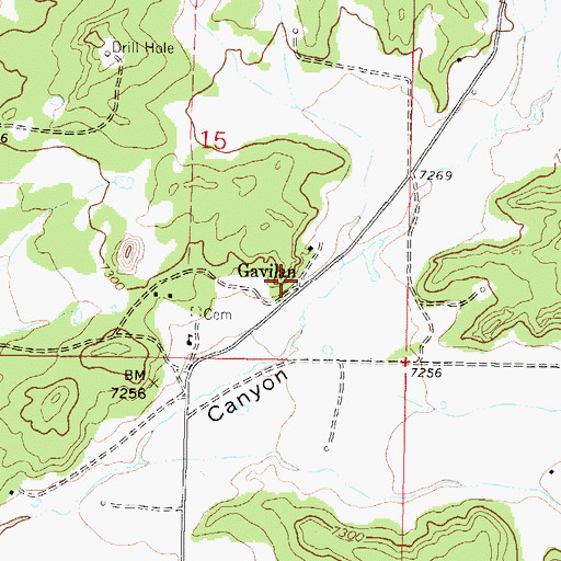 Topographic Map of Gavilan, NM