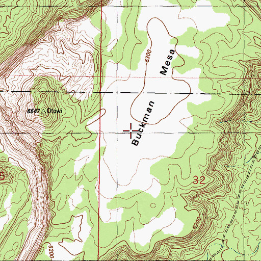 Topographic Map of La Mesita, NM