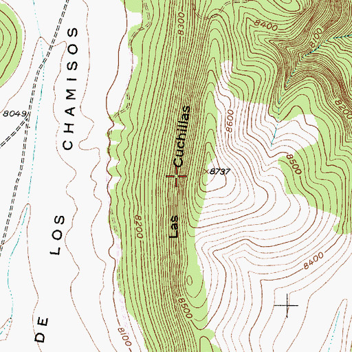 Topographic Map of Las Cuchillas, NM