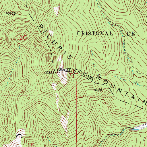 Topographic Map of Picuris Mountains, NM