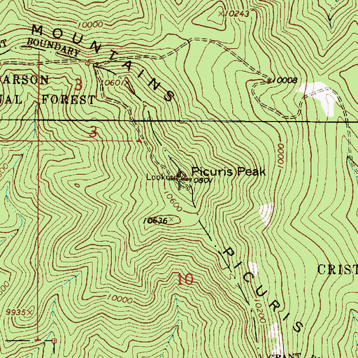 Topographic Map of Picuris Peak, NM