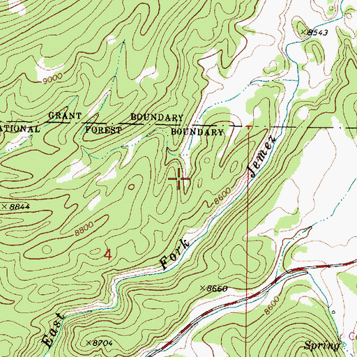 Topographic Map of Valle Grande, NM