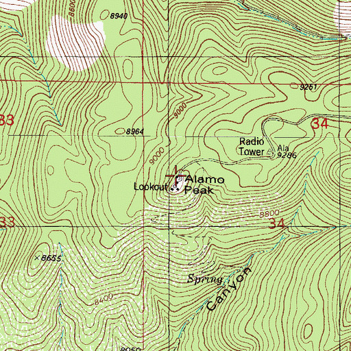 Topographic Map of Alamo Lookout Tower, NM