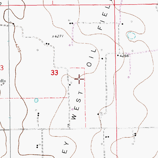 Topographic Map of Bagley West Oil Field, NM