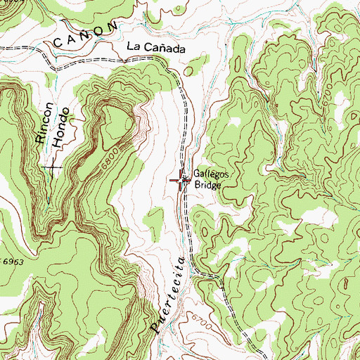 Topographic Map of Gallegos Bridge, NM