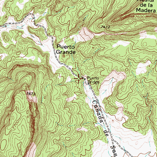 Topographic Map of Puerto Bridge, NM