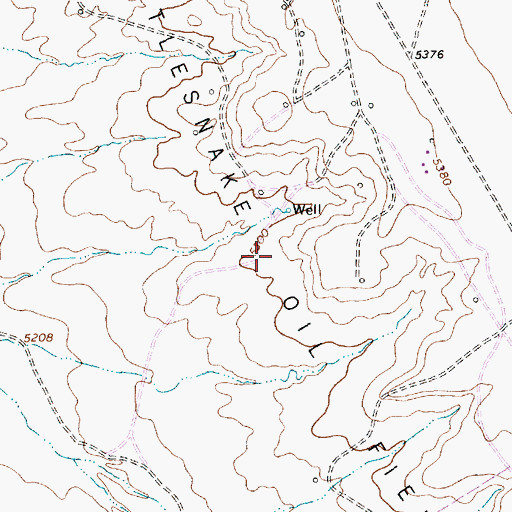 Topographic Map of Rattlesnake Oil Field, NM