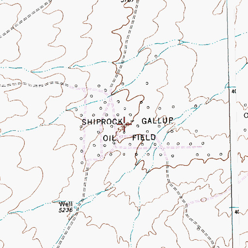 Topographic Map of Shiprock Gallup Oil Field, NM