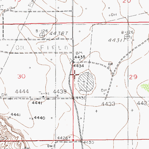 Topographic Map of South Caprock Oil Field, NM