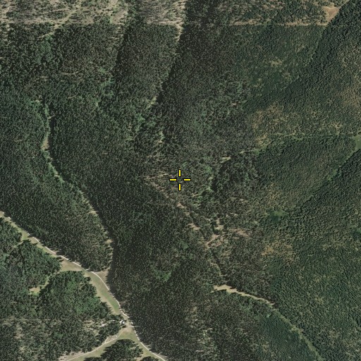 Aerial/Satellite Image of Wofford Lookout Tower, NM