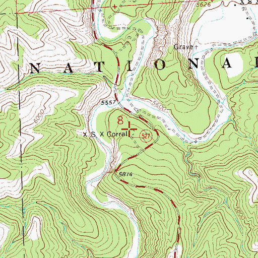 Topographic Map of X S X Corral, NM