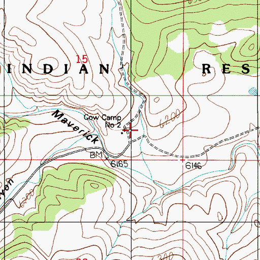 Topographic Map of Cow Camp Number 2, NM