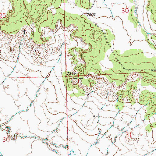 Topographic Map of McKinley County, NM